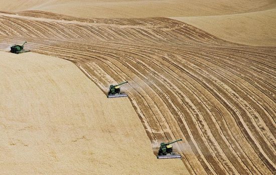 INDUSTRIAL AGRICULTURE-2
